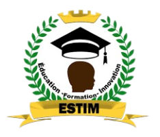 ESTIM ONLINE